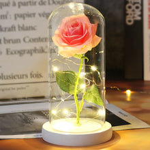 LED Galaxy Roos in Glazen Stolp