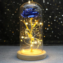 LED Galaxy Roos in Glazen Stolp