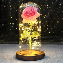LED Galaxy Roos in Glazen Stolp