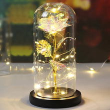 LED Galaxy Roos in Glazen Stolp